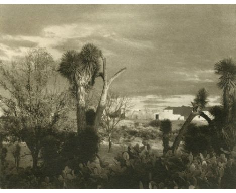 Artist: Paul Strand (American, 1890 - 1976). Title: "Near Saltillo [Mexico]". Medium: Original photogravure. Date: Composed 1