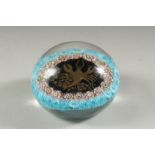 A SCORPION PAPERWEIGHT.