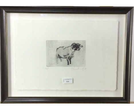 * OLIVIA GILL, TUP limited edition etching on paper, signed and numbered A/Pmounted, framed and under glassoverall size 37cm 