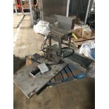 Scale with Hopper and Conveyor