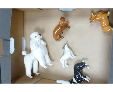 A collection of Beswick dogs to include Corgi 1736, seated dachshund 1460, sheepdog 1854, poodle 2339 and Jack Russell 2109 (