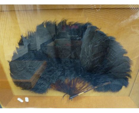 A VINTAGE FAN, with black ostrich feathers within a frame