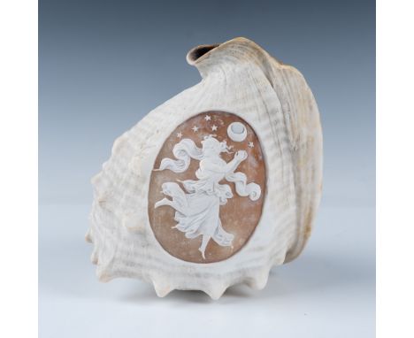Semi translucent polished shell with scene depicting an Angel flying through the night sky depicted by the moon and stars. Is
