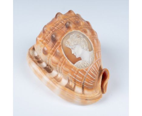 Semi translucent polished shell with scene depicting the bust of a woman. Issued: 20th centuryDimensions: 5"L x 3.5"W x 2.75"