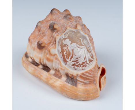 Semi translucent polished shell with scene depicting a seated woman with a swan. Issued: 20th centuryDimensions: 4.75"L x 3.2