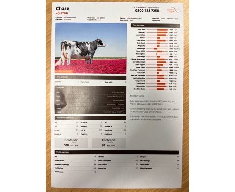 Holstein Semen 20 x straws of sexed semen retailing at a minimum of £30 per straw Full name: Drouner K&amp;L Chase Naab Code: