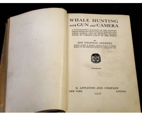 ROY CHAPMAN ANDREWS: WHALE HUNTING WITH GUN AND CAMERA,,,, New York and London, D Appleton, 1916, 1st edition, lib cloth  