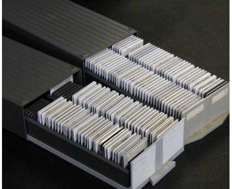 Two boxes approx 2000 35mm projector slides, Natural History, Butterflies etc housed in 21 slide cases, each slide with label