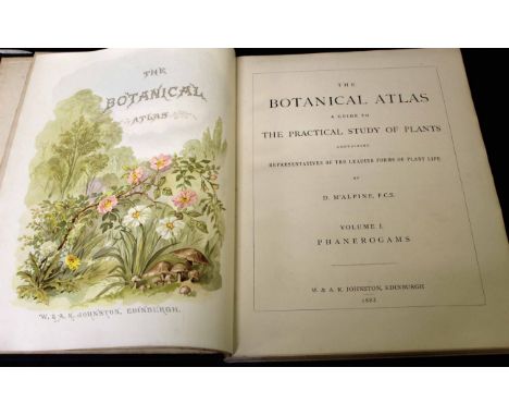DANIEL M'ALPINE: THE BOTANICAL ATLAS, Edinburgh, W &amp; A K Johnson, 1883, 1st edition, 2 volumes in one, 52 coloured plates