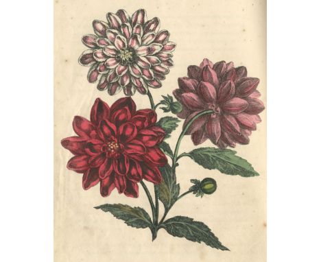 WHITTOCK (NATHANIEL)The Art of Drawing and Colouring from Nature, Flowers, Fruit and Shells... Also, the New Method of Orient