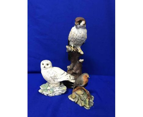 LOT OF CERAMIC MODELS OF BIRDSincluding Border Fine Arts etc (11)