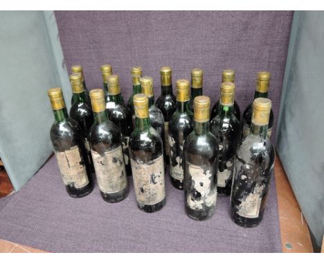 Seventeen bottles of France Saint Ferdinand Misenbouteille  Dans Nos Chais Red Wine including Vin De Bordeaux Chateau La Sabl