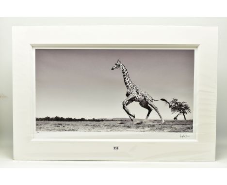ANUP SHAH (KENYA CONTEMPORARY) 'DANCE', a signed limited edition photographic print on paper depicting a giraffe, 35/150 with