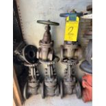Lot - Valves (6)