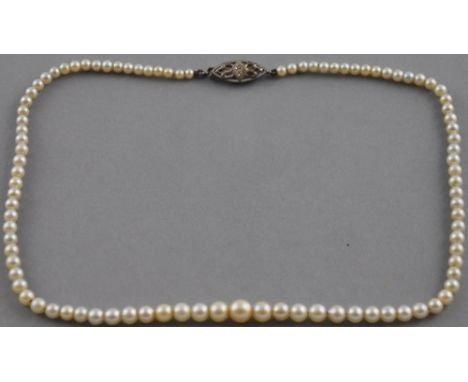 A graduated cultured pearl necklace with 9ct white gold and diamond set clasp