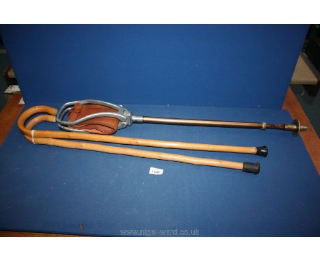 A shooting stick and two walking sticks.