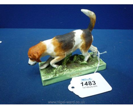 A rare Royal Worcester model of a beagle, ''Ranter'', modelled by Aline Ellis, the dog striding left on a naturalistic green 