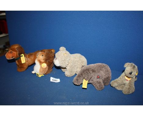 Five vintage baby Steiff animals:  dachshund, squirrel, pig, bear and dog.