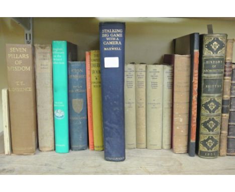 The History of Architecture and the Architectural Antiquities of York, both by John Britton, Rickman's Architecture, etc, tog