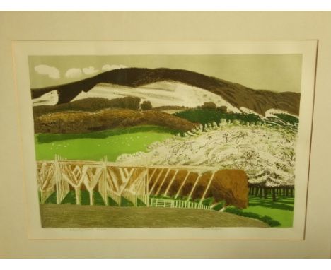A 20th century signed coloured limited edition screen print by Anne Rooke - The Bluebell Hill, Kent, edition number 5/50, 46 
