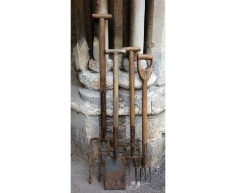 Three vintage garden forks and a spade all with ashwood handles