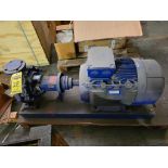 KSB Centrifugal Pump (Motor & Pump Assembly for Cooling Tower System) (Location: 2785 McCracken Rd.,