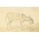 A study of a donkey grazing, watercolour and pencil, unframed, 3.5" x 5.5".