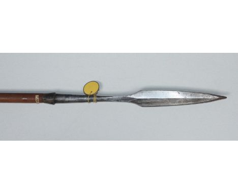 An early 20th century hunting spear, with hand-forged iron blade flat to one side and bevelled to the other, the stained-wood