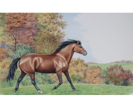 Peter Barrett (British, B. 1935) "Morgan Horse" Signed lower left. Original Watercolor Painting on Illustration Board. Proven