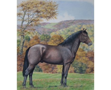Peter Barrett (British, B. 1935) "Morgan Horse" Signed lower left. Original Watercolor painting on Illustration Board. Proven