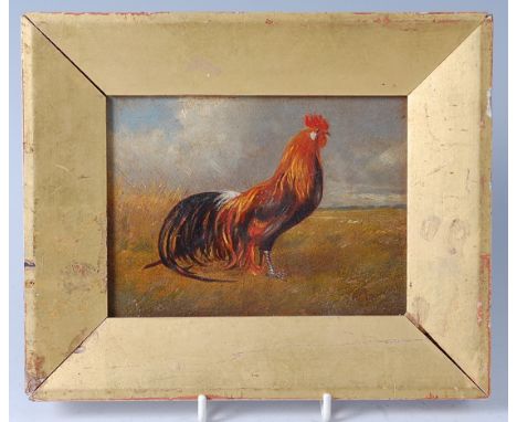 Late 19th century English school - Portrait study of a cockerel within a landscape, oil on panel, 11 x 15cm