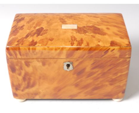 A late George III blonde tortoiseshell tea caddy of plain rectangular form, the hinged lid with vacant mother of pearl cartou