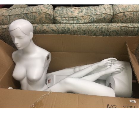 SHOP MANNEQUIN NO STAND