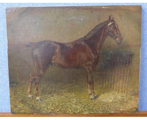 Robert Rasel, portrait of a stallion, oil on canvas, unframed