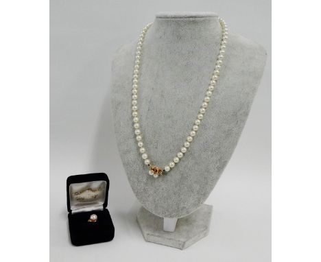 Vintage 1970's strand of Japanese pearls with a 14 carat gold clasp fitting and a matching pearl and gold dress ring (2)