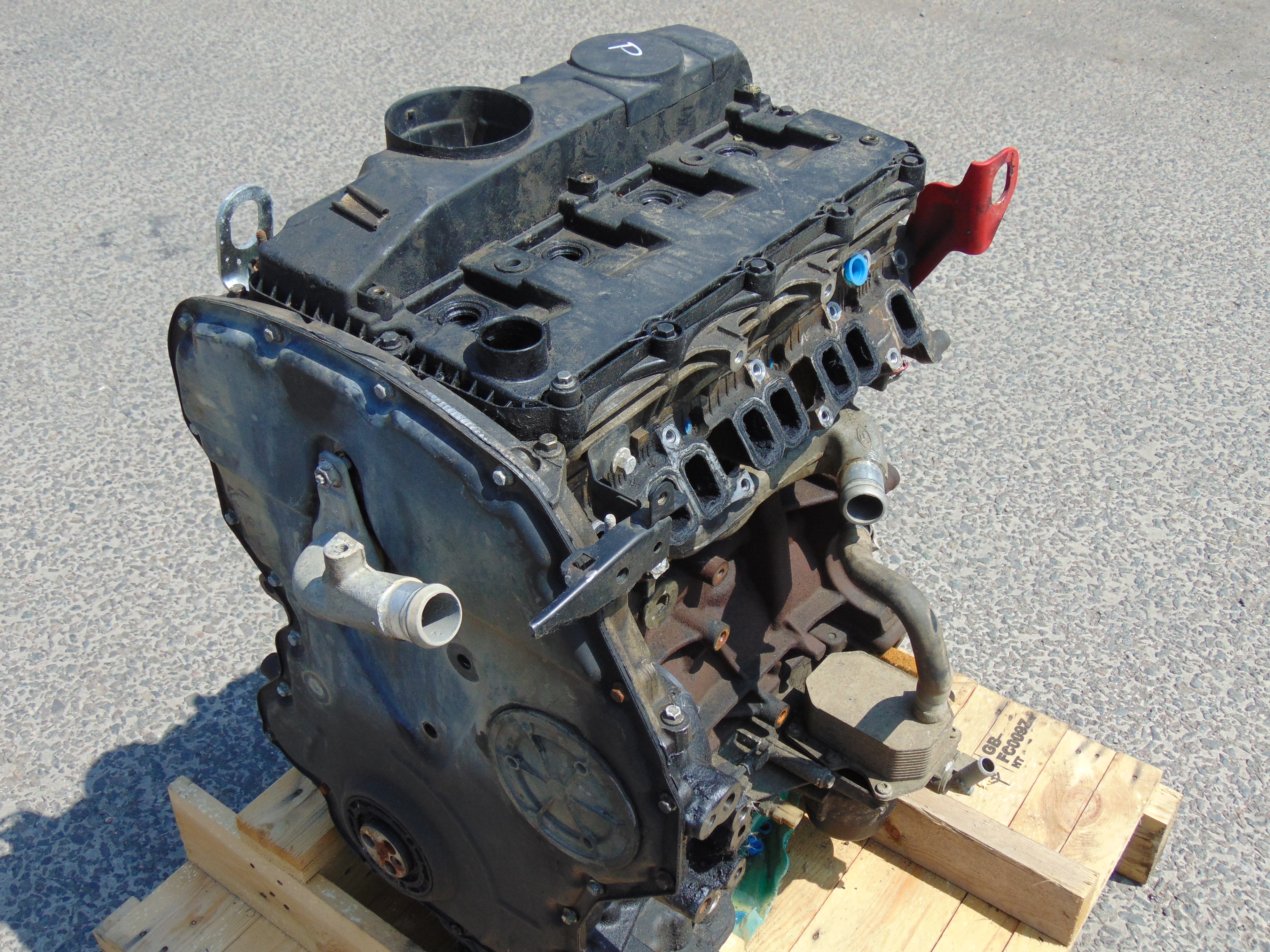puma engines
