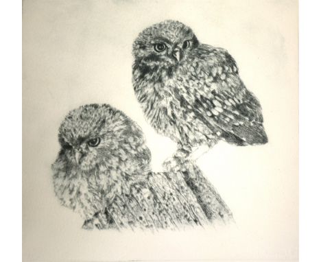 Laura Harvey, Squirrel, signed and numbered, etching with aquatint, 17 x 17cm; and another, Two owls, 20 x 22cm (2)
