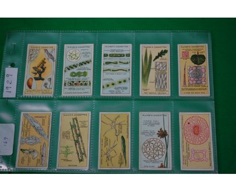 CIGARETTE CARDS; Player's Cigarettes: Complete set, 1929, Hidden Beauties - a series of 25


UK POSTAGE & PACKING £2.99 1ST C