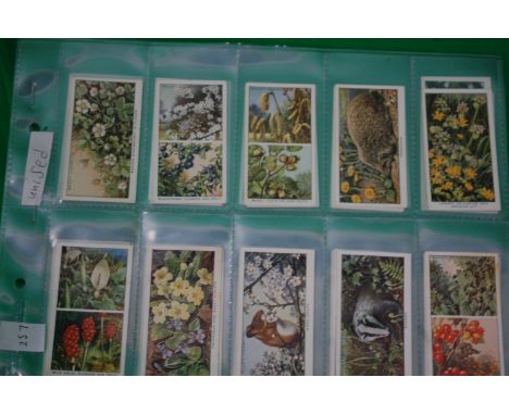 CIGARETTE CARDS: Wills's Cigarettes: Complete set. Life in the Hedgerow - a series of 50, unissued


UK POSTAGE & PACKING £2.