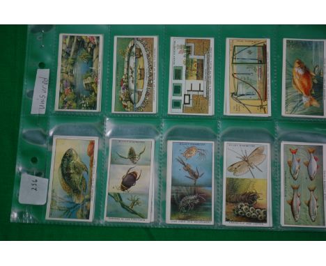 CIGARETTE CARDS: Wills's Cigarettes: Complete set, Pond And Aquarium - a series of 25, unissued


UK POSTAGE & PACKING £2.99 