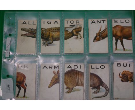 CIGARETTE CARDS: Wills's Cigarettes: Complete set,1934, Animalloys - a series of 48


UK POSTAGE & PACKING £2.99 1ST CLASS PO