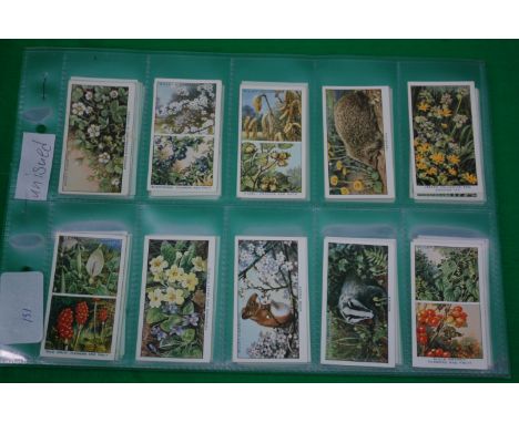 CIGARETTE CARDS; Wills's Cigarettes: Complete set, Life in the Hedgerow - a series of 50.


UK POSTAGE & PACKING £2.99 1ST CL