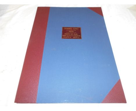 Ordnance Survey Maps   c.1889-90, 25 inch to 1   mile, Devon (Ashbrittle, Holcombe Regis, Burlescombe,   Ayshford, Appledore,