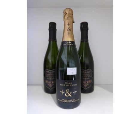 * Two Bottles of Lyme Bay Blanc de Noirs and One Bottle of Pinord Cava Brut Seleccion (3) The Lyme Bay Blanc is made from 100