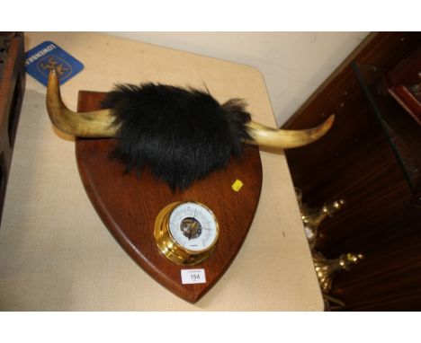 A BAROMETER ON OAK SHIELD WITH MOUNTED BUFFALO HORNS 