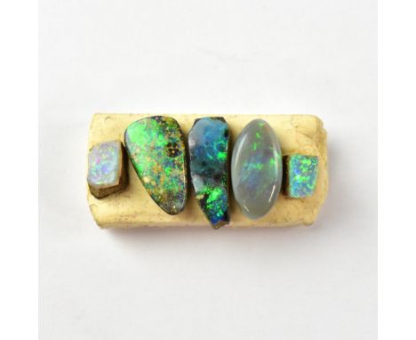 Five opal shards/segments, mostly with greens and blues as a dominant colour, length of longest approx 14mm, width of widest 