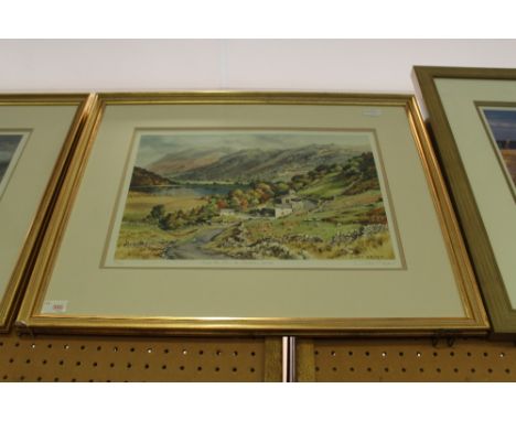 Judy Boyes print over the pass to Brothers Water
