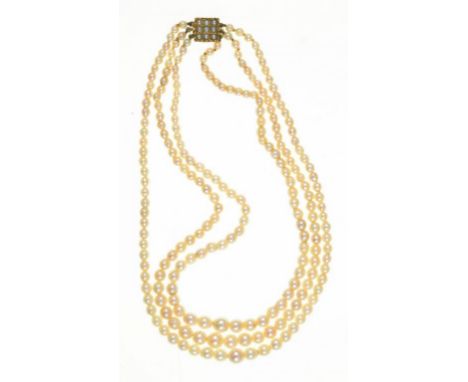 A TRIPLE ROW CULTURED PEARL NECKLACE WITH 9CT GOLD PEARL SET CLASP, LONDON 1983, 39.5G++LIGHT WEAR CONSISTENT WITH AGE