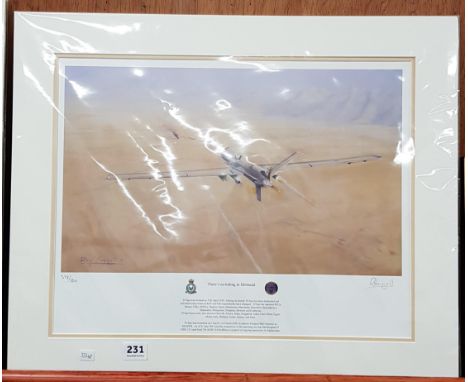 LTD EDITION PRINT 'THERE'S NO HIDING IN HELMAND' 