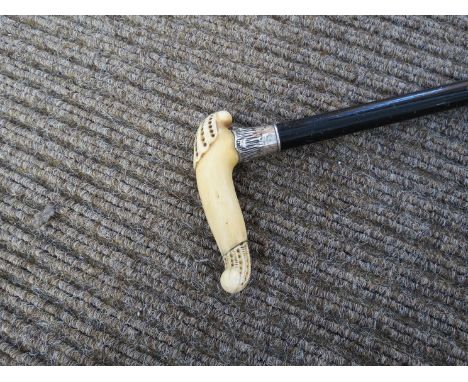 An ivory handled walking stick with Sterling silver collar (stamped 925 and dated 1900)